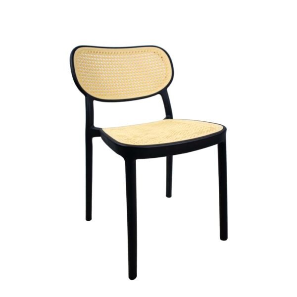 Plastic Chairs